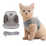 Soft Mesh Anti Pulling Kitty/Cat Harness and Lead Set for Walking, Escape Proof Fully Adjustable Cats Vest Harnesses and Leads with Handle for Small Animals Puppies (Small, Grey)