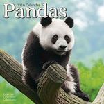 Pandas Calendar - 2016 Wall calendars - Animal Calendar - Monthly Wall Calendar by Avonside