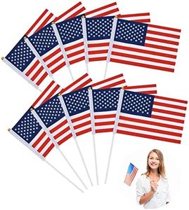 USA Stick 