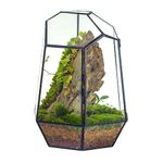 NCYP Close Geometric Glass Terrarium with Door - 20x17.5x25 cm Black Irregular Glass Planter - Modern Succulent Cacti Flower Pot - Home Garden Decor (Plants NOT Included)