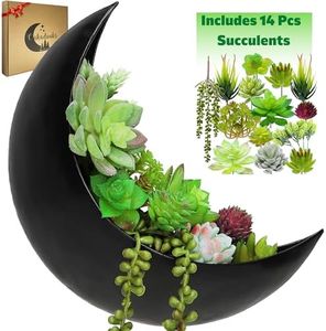 Wall Planter - Window Planter - 14Pcs Artificial Succulents - Hanging Moon Planter - Boho Hanging Planters for Indoor Plants, Air Plant, Cactus, Faux, Unique Gifts for Women, Birthdays, Plant Lovers