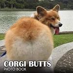 Photo Book Of Corgi Butts: Corgi Butts Picture Book For Photos With 30+ Pictures Photos, 2023 Photobook Photography Christmas Gifts For Men Women Mom Dad