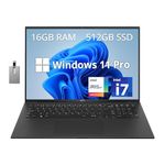 LG gram 17" WQXGA Lightweight Business Laptop, 13th Gen Intel Core i7-1360P, 16GB LPDDR4X RAM, 512GB PCIe SSD, Intel Iris Xe, Backlit Keyboard, Wi-Fi 6E, Win 11 Pro, Black, 32GB Hotface USB Card