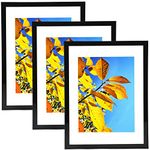 Aynoo 8.5x11 Picture Frame Black Set of 3 Pack 8.5x11 Picture Frames Display Pictures 6x8 8.5x11 Wall Mounting Thin Border Photo Frame for Wall,Black, 3Pack