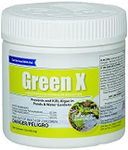 Green X – 1lb - String Algae Remover for Koi Ponds, Fountains, Waterfalls, Water Features- Safe for Fish Contact Algae Control- Treats up to 16,000 Gallons - Concentrated Granular Algaecide