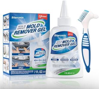 Mould Remo