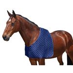 WeatherBeeta Deluxe Shoulder Guard, Navy, Full