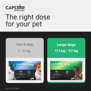 Capstar Flea Tablets for Dogs, 57mg – Fast-Acting Oral Treatment