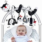 Car Seat Toys for Babies 0-6 Months