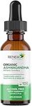 Renew Actives Ashwagandha Liquid - Essential Drops for Memory Enhancement, and Energy Increase. A Cleansing Rejuvenative Tonic and Sleep Aid Supplement - 120 ml