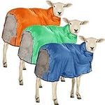 Sweetude 3 Pcs Sheep Blanket with M
