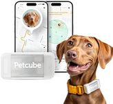 Petcube GPS Tracker for Dogs | Pet 