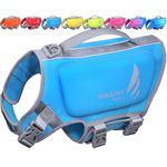 VIVAGLORY High Buoyancy Dog Life Jacket, Swim Vest with Handle, Dog Life Jacket for Swimming & Boating, Buoyancy for Doggy, XS, Blue