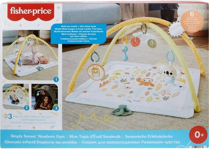 Fisher-Price Baby Playmat Gym – Soft Activity Mat for Infants