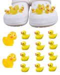 tikono 14PCS Duck Charms for shoes, 3D Duck Clog charms 2PCS Glow in The Dark Big Duck + 12PCS Ducks Pin Funny Charms