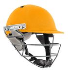 SHREY STAR JUNIOR STEEL GOLD CRICKET HELMET
