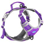 ThinkPet No Pull Harness