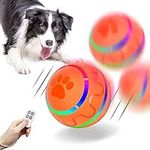 IFurffy Peppy Pet Ball for Dogs wit
