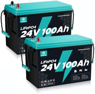 ECOBOSS 24V 100Ah LiFePO4 Battery 2560Wh 2 Pack