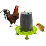TAIYO PLUSS DISCOVERY® Poultry Water Feeder, Size: (24X16 cm) (LXH), Automatic Hen & Chicken Poultry Water Feeder and All Other Types of Birds (1.5L Capacity) (Green)