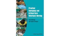 Practical Emergency and Critical Care Veterinary Nursing