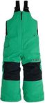 Burton Youth Toddlers' Maven Water Proof Snow Bib Pants (Toddler, 4T, Galaxy Green)