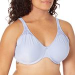 Bali Women's Passion for Comfort Minimizer, Full-Coverage Underwire Seamless Cups, Everyday Bra, No-Bulge Smoothing, Winter Lake, 38D