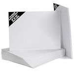 Belle Vous 14 Pack Blank Canvas - 20 x 30cm (8 x 12 inches) - Pre Stretched Canvas Panel Boards - Suitable for Acrylic and Oil Painting Also for Sketching and Drawing