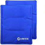 WORLD-BIO Large Gel Ice Pack for In