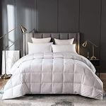 Eastwarmth Lightweight Goose Down C