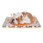 Kaket Ultra Soft Dog Crate Mat Small 65 x 50 CM, Warm Pet Dog Bed Mat Washable, Dog Crate Mattress Pet Blanket for Small Dogs, Cats, Pets,Rabbits, Guinea Pigs (Coffee Hearts, S)