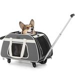 Petsfit Dog Trolley,Dog Trolleys on Wheels,Pet Carrier on Wheels with Telescopic Handle, Portable Large Dog/Cat Carrier Travel Tote Bag with Wheels, Light Grey Color, 66cm x 36cm x 37cm