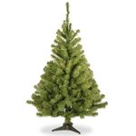 National Tree 3 Foot Kincaid Spruce Tree (KCDR-30-1)