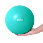 Fresion 25cm Soft Pilates Ball/Small Exercise Ball - Mini Yoga Ball, Core Ball, Barre Ball, Small Workout Ball,Gym Ball for Physical Therapy, Balance, Stability, Stretching