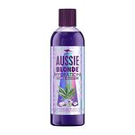 Aussie Blonde Hydration Purple Shampoo, 290 ml