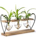 Sapowerntus Heart Propagation Stations, Cute Plant Terrarium Wooden Stand Love Glass Vase, Hydroponic Air Plants Desk Office Garden Gift Decor for Women Plant Lover, 3 Heart Vase