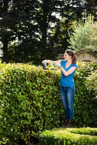Ryobi 18V ONE+ Cordless Hedge Trimmer, 45cm Blade – Body Only