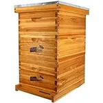 10-Frame Langstroth Beehive Dipped 
