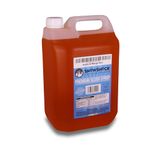 SnowShock 5ltr Slush Syrup - Concentrate Dilute for Ice/Slushy Machine | Flavoured Slushie Maker (Apple & Mango)