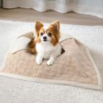 LOOBANI Waterproof Bed Blanket for Dogs: Pet Blanket Liquid Pee Proof for Bed Couch Sofa, Soft Warm Sherpa Fleece Washable Reversible Blanket, Waterproof Blanket for Small Dogs Cats, 30"x 40"