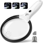 Large Magnifying Glass with Light, 