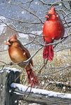 Toland Home Garden 1010431 "Blizzard Buddies Winter/Birds" Decorative House Flag, 28" X 40"