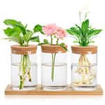 Lawei 3 Pcs Plant Terrarium Propagation Stations, Tabletop Glass Planter Water Planting Glass Vase with Wooden Tray, Clear Glass Jars Containers for Grow Hydroponic Plants Home Office Decoration