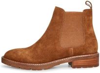 Steve Madden Women's Leopold Chelsea Boot, Chestnut Suede, 8.5