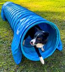 Callieway Professional Agility Tunnel/Dog Agility Pipe Tunnel „PROFI / 2ft Ø, 16.4ft length (UK Kennel Club conform) incl. 2 saddle bags (5m, cyan blue)