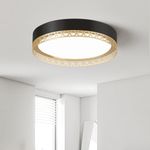 ONESMING Modern Flush Mount Ceiling