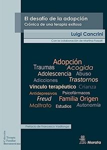 EL DESAFÍO DE LA ADOPCIÓN. CRÓNICA DE UNA TERAPIA EXITOSA: 14 (Terapia familiar iberoamericana)