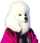 Dog Mask Poodle Head Face Costume Novelty Halloween Party Dressing Up Masks For Adults And Kids (White poodle)