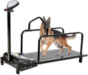 Dog Treadmill for Large & Small Dog