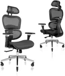 Nouhaus Ergo3D Ergonomic Office Chair Lumbar Support Mesh Office Chair with 4D Adjustable Armrest, Adjustable Headrest and Wheels, Mesh High Back Home Office Desk Chairs(Black)